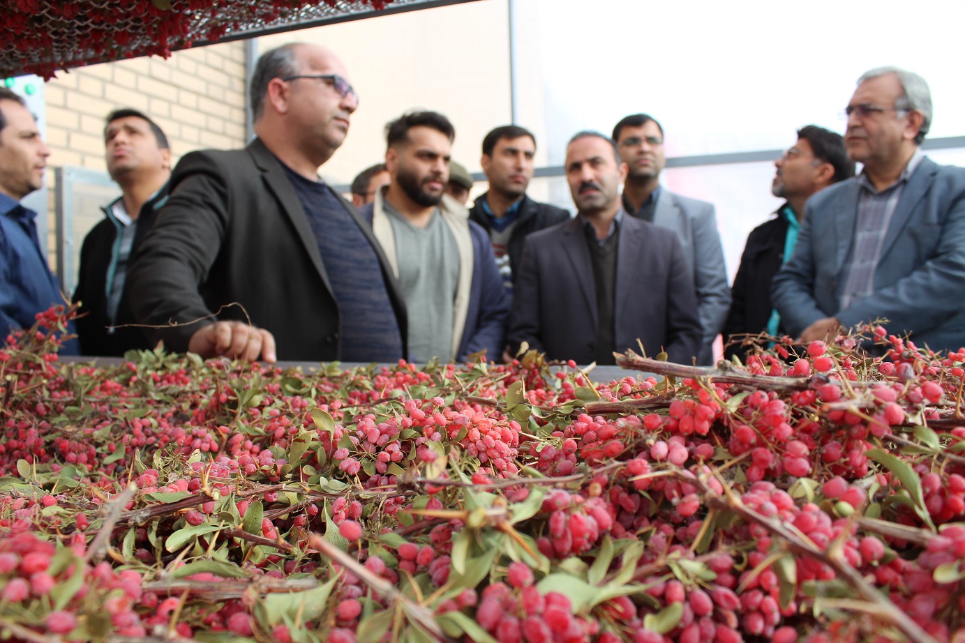 رونمایی از دستگاه خشک‌کن خورشیدی با طرح ابتکاری در دانشگاه بزرگمهر قائنات